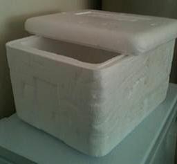 A white, styrofoam box with a removable top